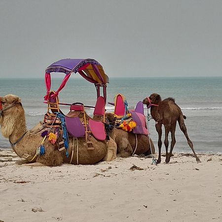 Dar El Kahina Djerba Hotell Mezraia Exteriör bild