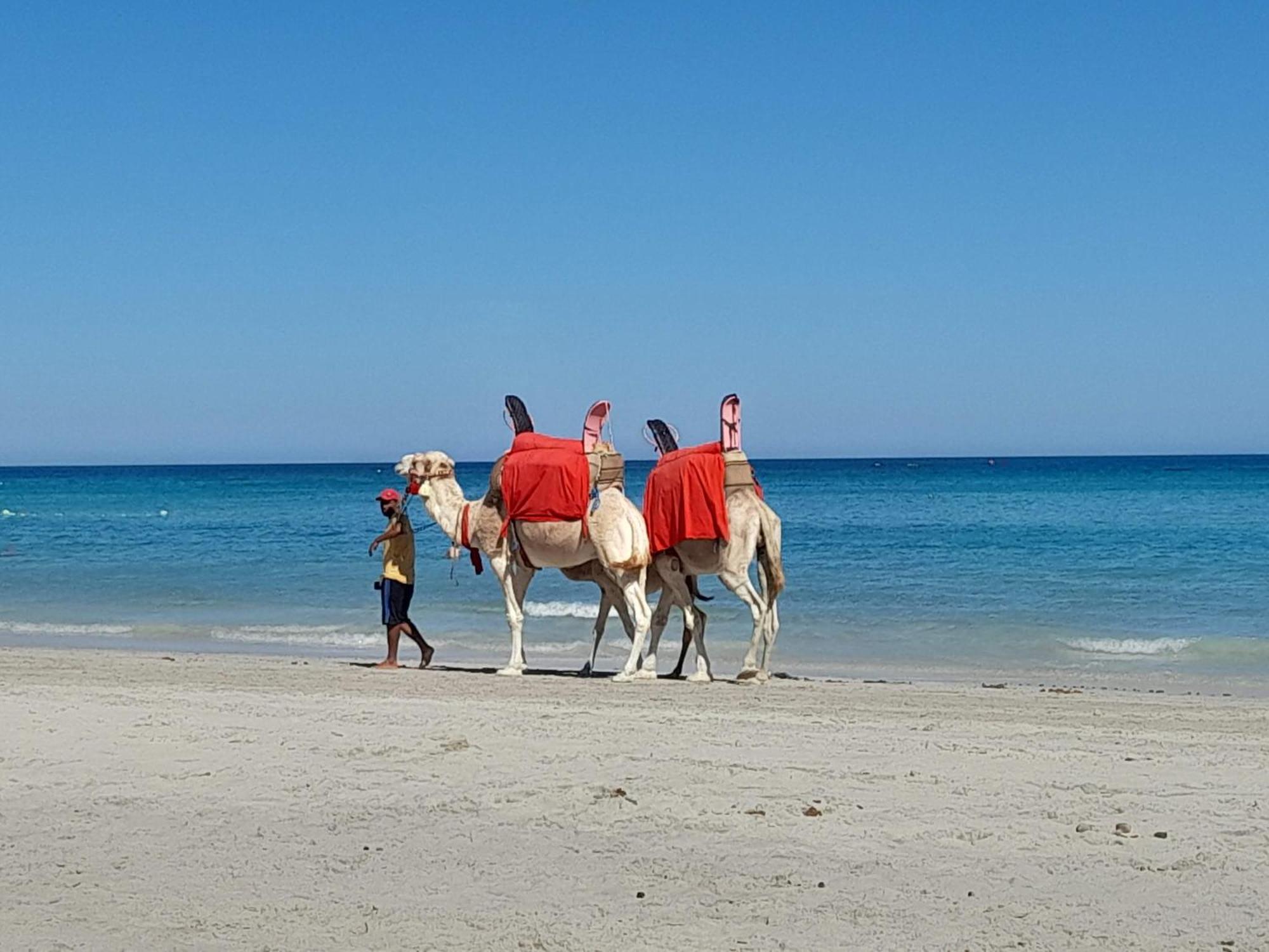 Dar El Kahina Djerba Hotell Mezraia Exteriör bild
